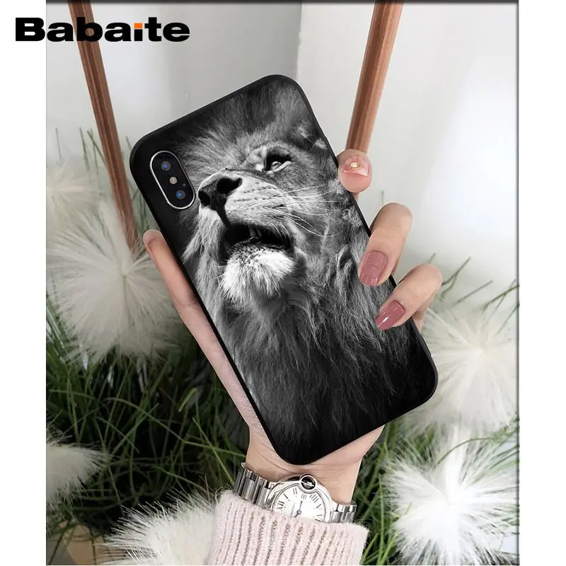 Animals lion