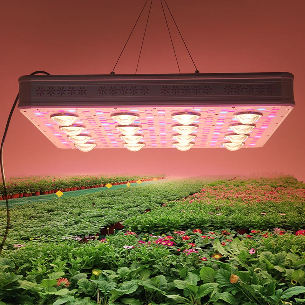 

2018 New 1200w ETL ROHS certificate dual switch full spectrum led plant grow lights for hydroponic plant grow