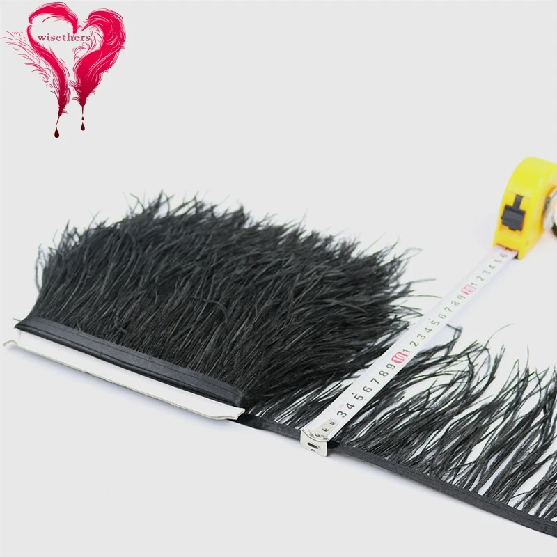 14 black ostrich feather fringe 5