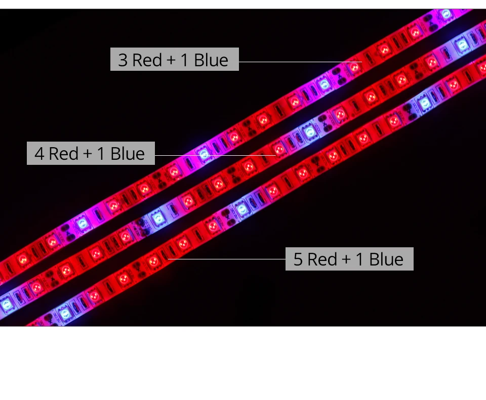 LED Phyto lamp (4)