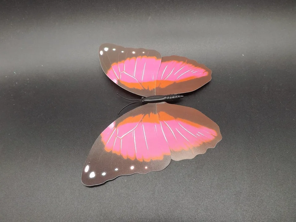I235-Butterfly (6)