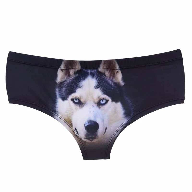 https://ae01.alicdn.com/kf/HTB1N94CMpXXXXadaXXXq6xXFXXXz.jpg