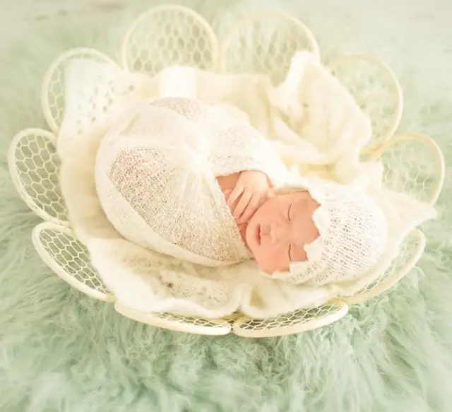 Chic Newborn Basket Baby Nest Photography Props,High Quality Iron Baby
