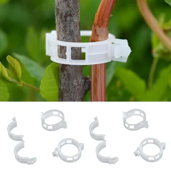 

50pcs 23mm Plant Support Clips for Plants Vegetables Garden Greenhouse