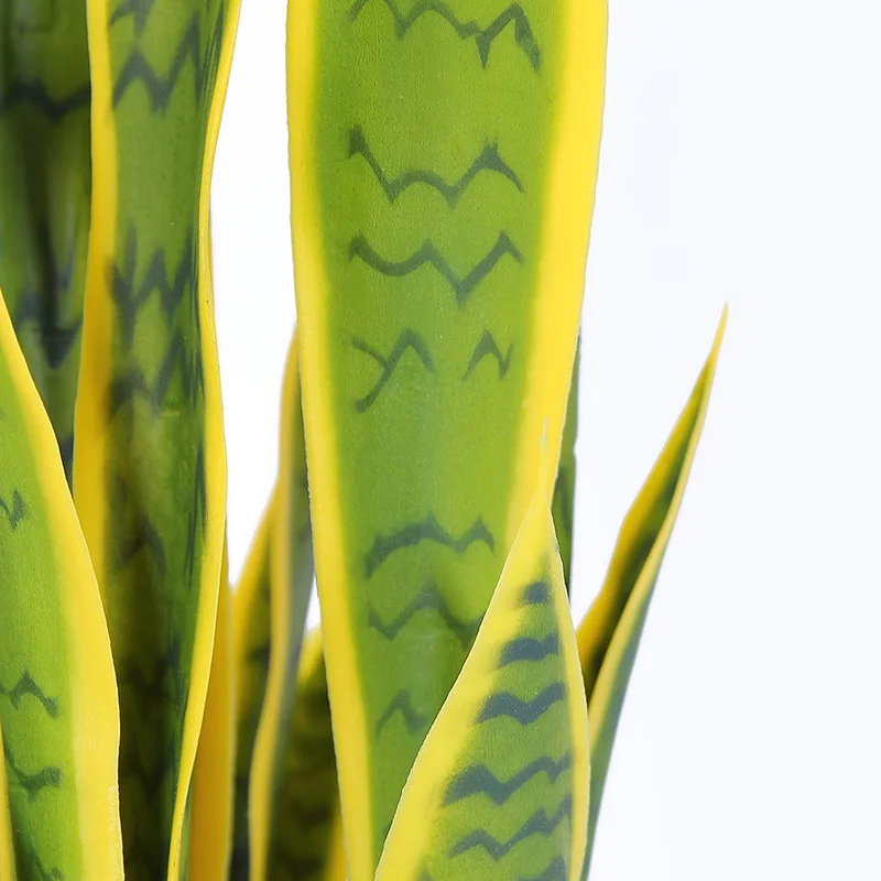 70 см цветок+ ваза Sansevieria trifasciata бонсай Тропическое растение высокое качество чувство руки зеленый суккуленты подарок украшение дома