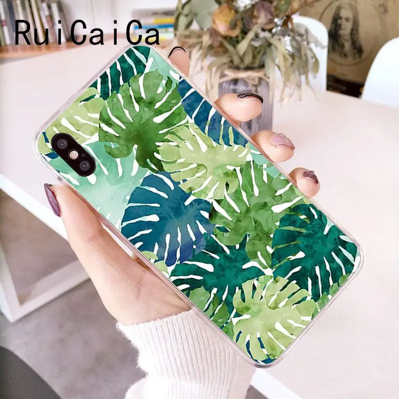Palm tree Leaves Plant Flower