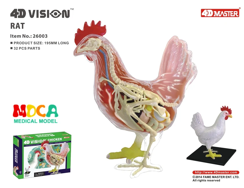 Обучающая игрушка головоломка 4d для курицы биология животных анатомическая