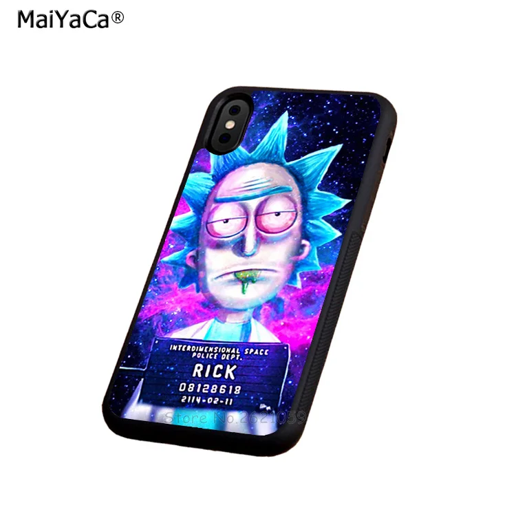 B5804_B5806_Rick and morty jail