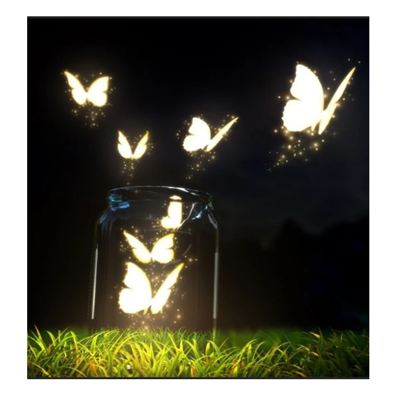 

Diy 5d diamant schilderen butterfly set crystal handwerken diamant borduurwerk butterfly in a jar woondecoratie