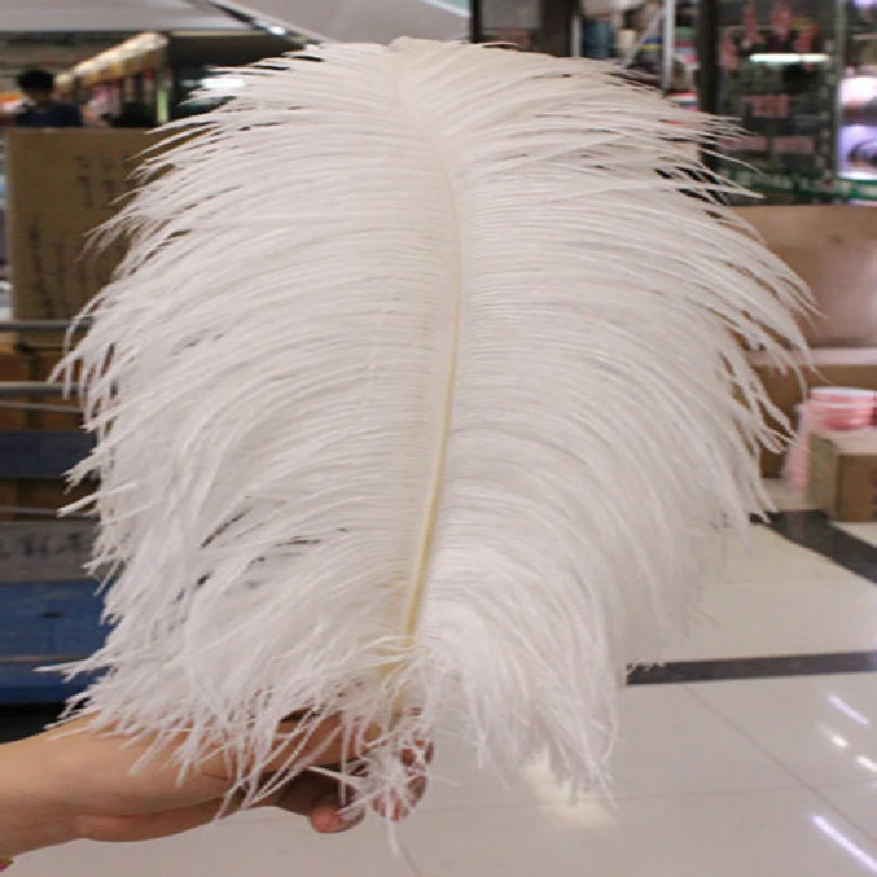 Hertogin Waar Ontmoedigd zijn Neqw 10 STKS mooie natuurlijke witte struisvogelveren groothandel 50 tot 55  cm/20 om 22 inches van veren|ostrich plume feathers|ostrich feather  fringefeather rooster - AliExpress