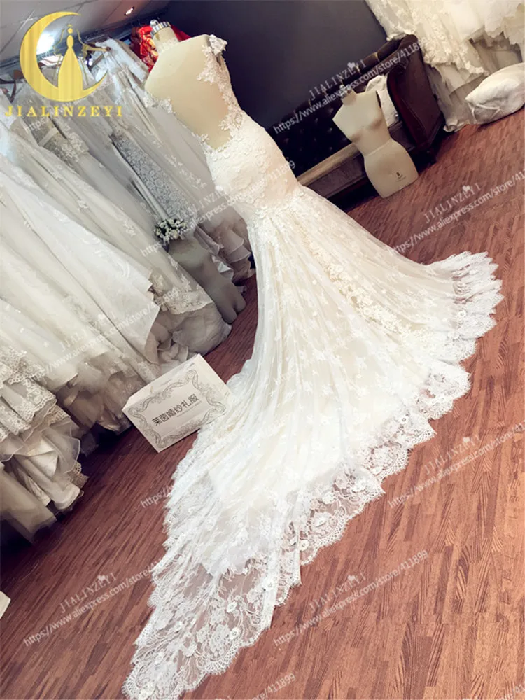 LY260 (4)
