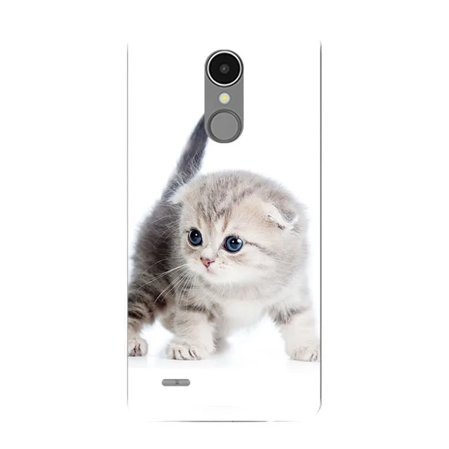 Флейта для LG K10 2017 X400 M250 M250N LV5 K20 V Plus Крышка корпуса из силикона K 10 2017|Бамперы| |