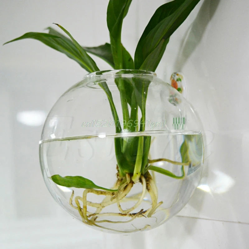 

Wall Hang Glass Flower Planter Vase Terrarium Container Home Garden Decor Ball