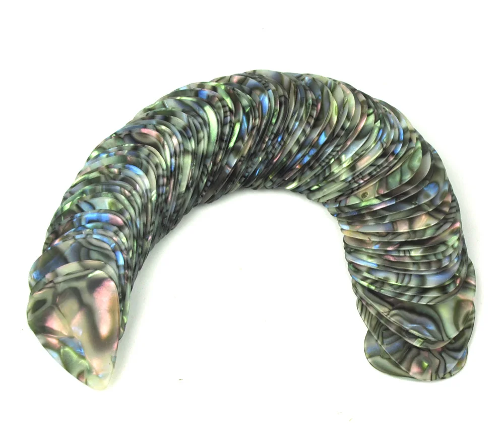 Abalone-1