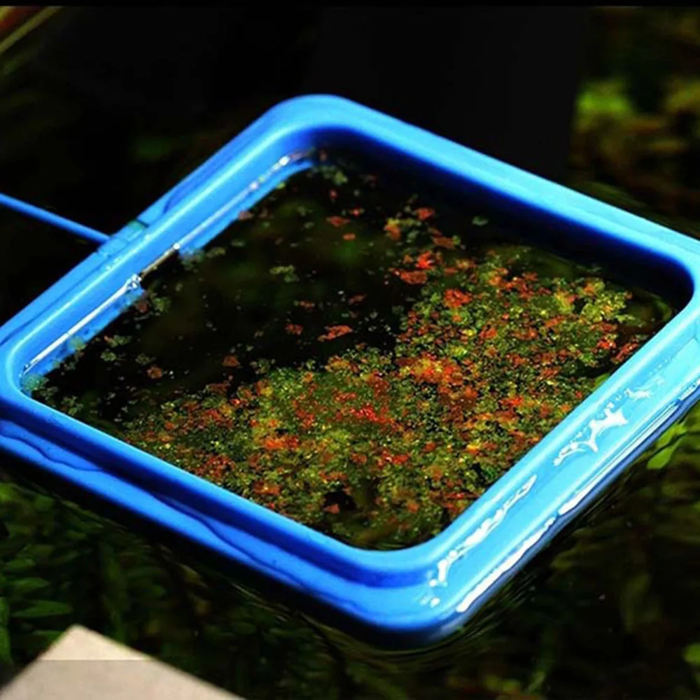 Aquarium Feeding Ring Fish Tank Station Floating Food Tary Feeder Square Circle Feeding Ring Fish Tank Portable Feeder Supplies  (6)