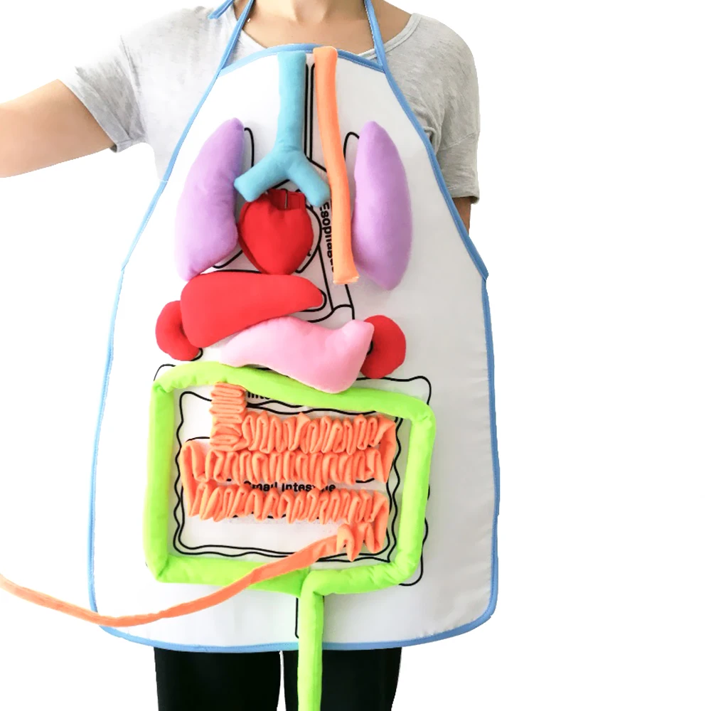 Enjoybay 3D Body Organ Plush Toy with Apron Viscera Teaching Utensil Body Organs Awareness Aids Early Educational Toy for Kid