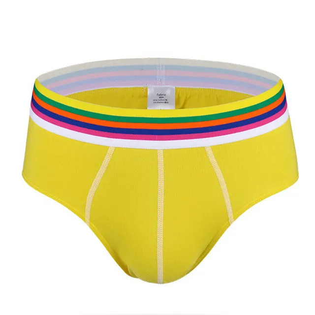 Buy 4Pcs/lot Brand Mr Underwear Men's Cotton Briefs