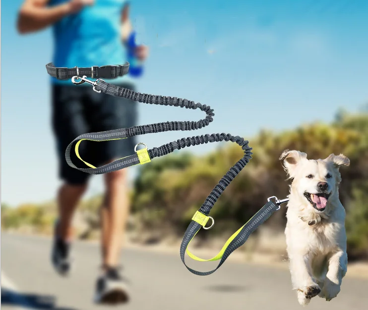 Dog Leash Retractable Hands Free for Running Dual Handle Bungee Leash Reflective For Up to 150