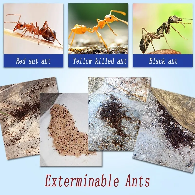 50pcs Newest Green Leaf Powerful Killer Bait Powder Ants Drugs Repellent Trap Pest Control Effective Killing Termite Red Ants