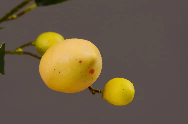 Имитация зеленого растения Прямая с фабрики искусственные фрукты поддельные цветы Желтый Имитация ягод лимон ветка фруктового дерева