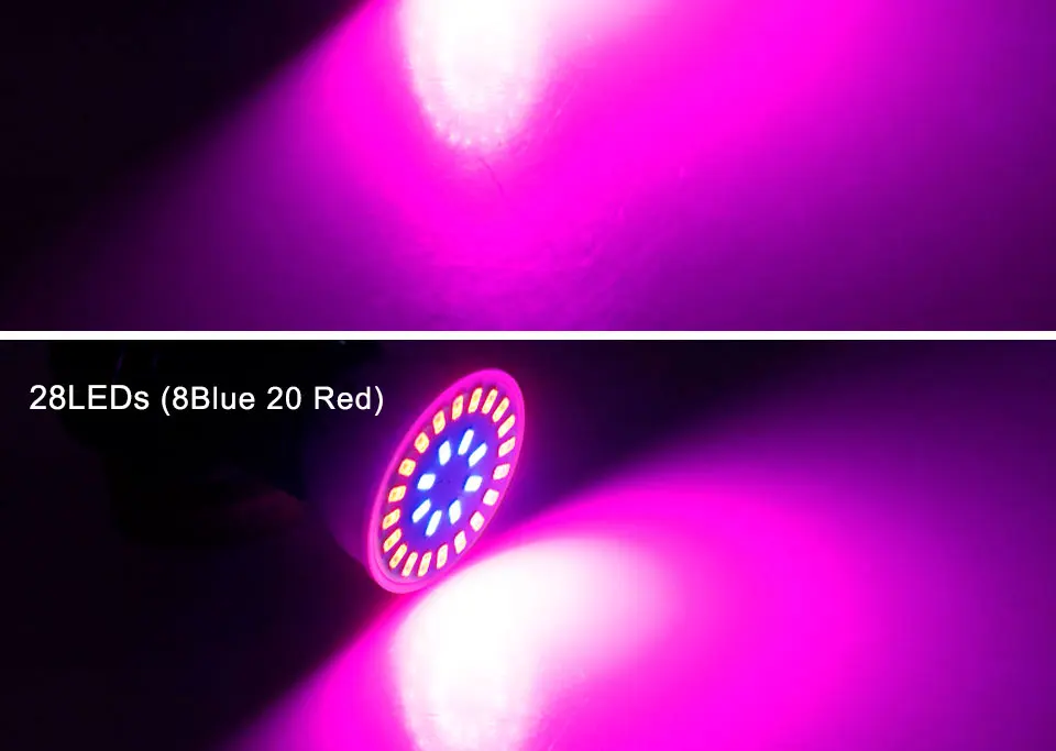 growing lamp bulbs (13)