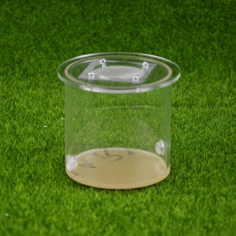 round ant farm food feeder,food feeding area for ant nest ,ant farm acryl or insect nests villa pet mania for house ants