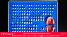 DENTAL TEETH MODEL ,DORAL CARE MODEL TOOTH,ABUTMENT TOOTH MODEL PREPARE STANDARD PRESENTATION PACKAGES-GASEN-DEN056