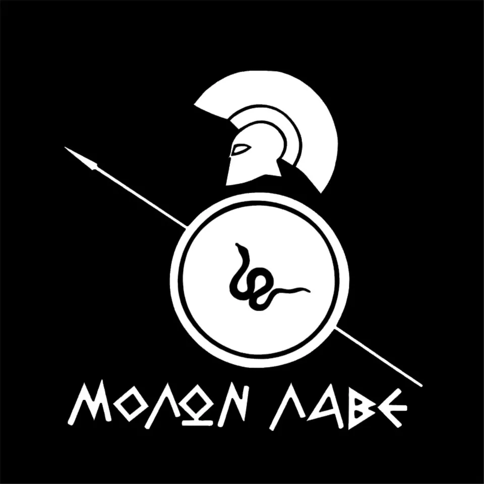 14.9CM15.2CM MOLON LABE Spartan Helmet Car Sticker Shield Vinyl Decals blackWhiteLaser (3)
