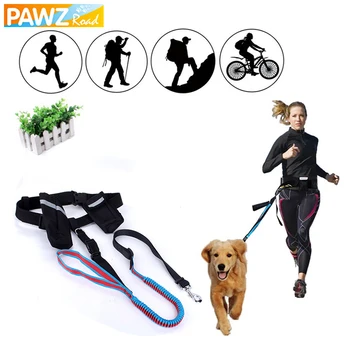 

PAWZRoad Hand Free Pet Dogs Waist Leash for Running Elasticity Adjustable Dog Harness Collar Jogging Walking Leads with Food Bag