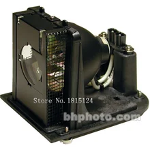BL-FU250E / BL-FU250F / SP.L3703.001 / SP.L1301.001 Original Lamp with Housing for Optoma H77,H79,H78,H78DC3 Projectors.