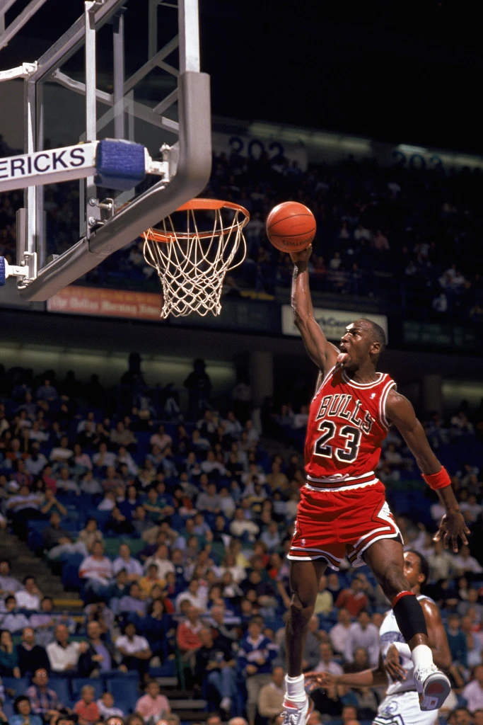 jordan dunk