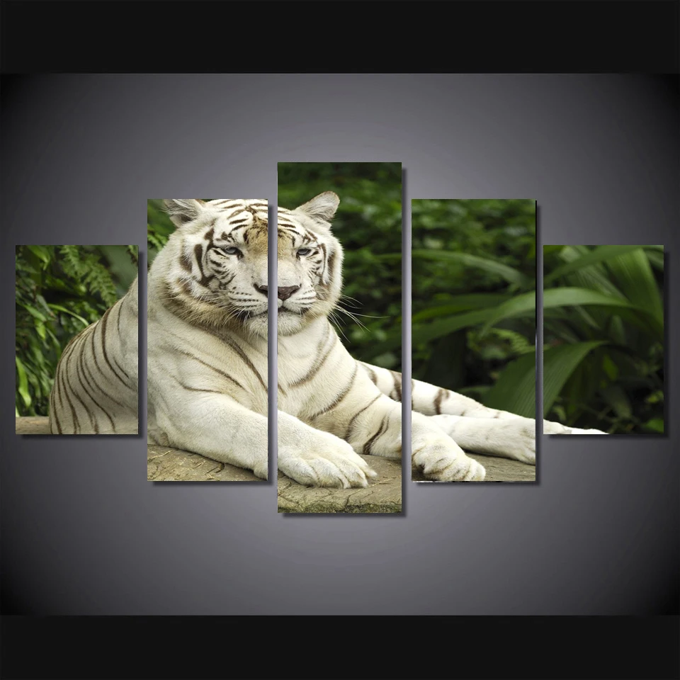 Yiwu Honor Decor 3D Kanvas Lukisan Harimau Putih Lukisan Menderu
