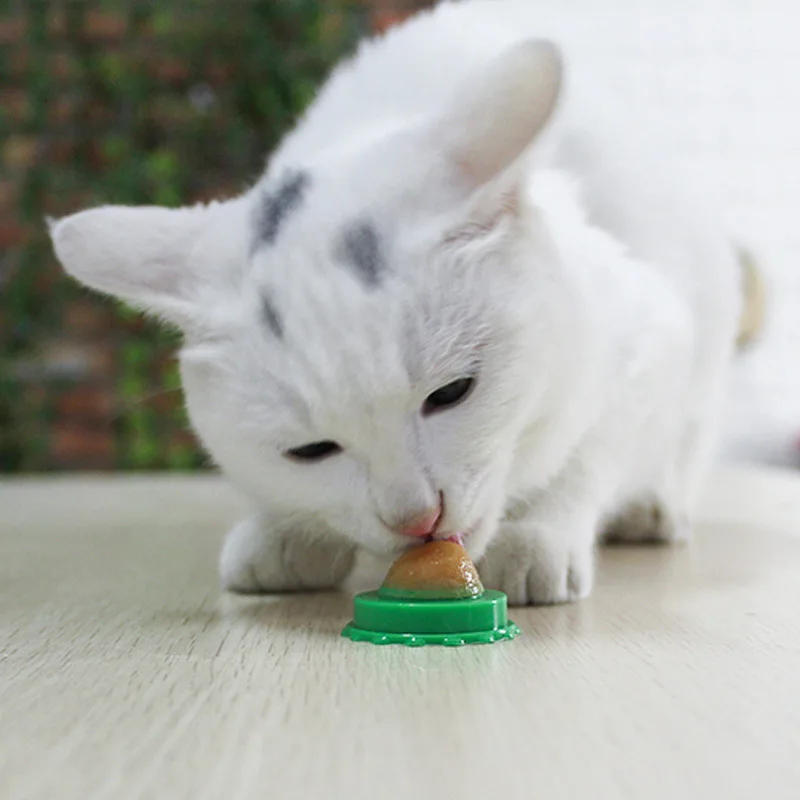 Cat Solid Nutrition Energy Ball Long-Term Consumption Effect Cat Mint Sugar Cream Nutrition Healthy Candy Licking Snack Toys Cat Solid Nutrition Energy Ball Long-Term Consumption Effect Cat Mint Sugar Cream Nutrition Healthy Candy Licking Snack Toys