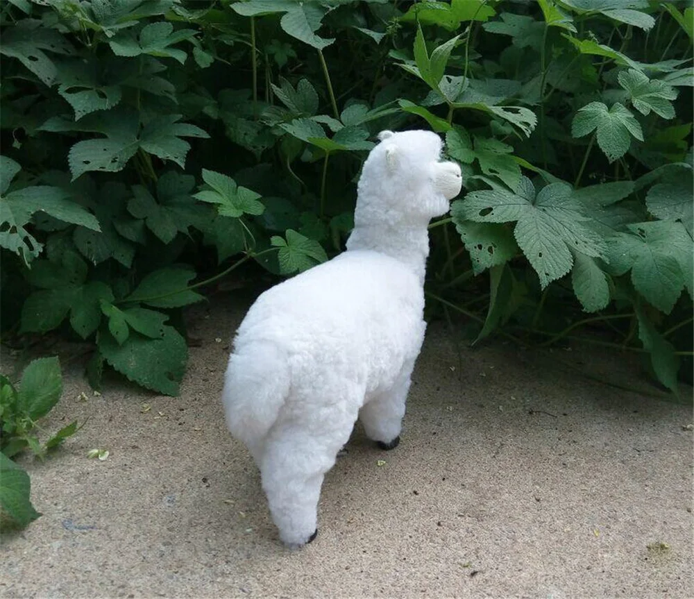simulational animals white alpaca plush toy made of fur and polyethylene  sheep doll gift home decoration 4