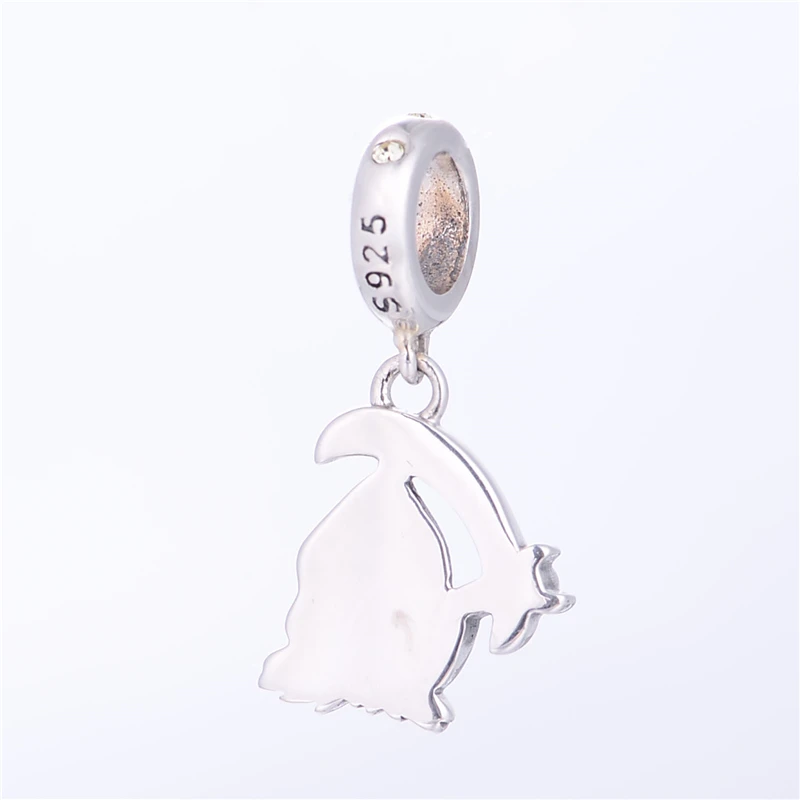 aeProduct.getSubject()