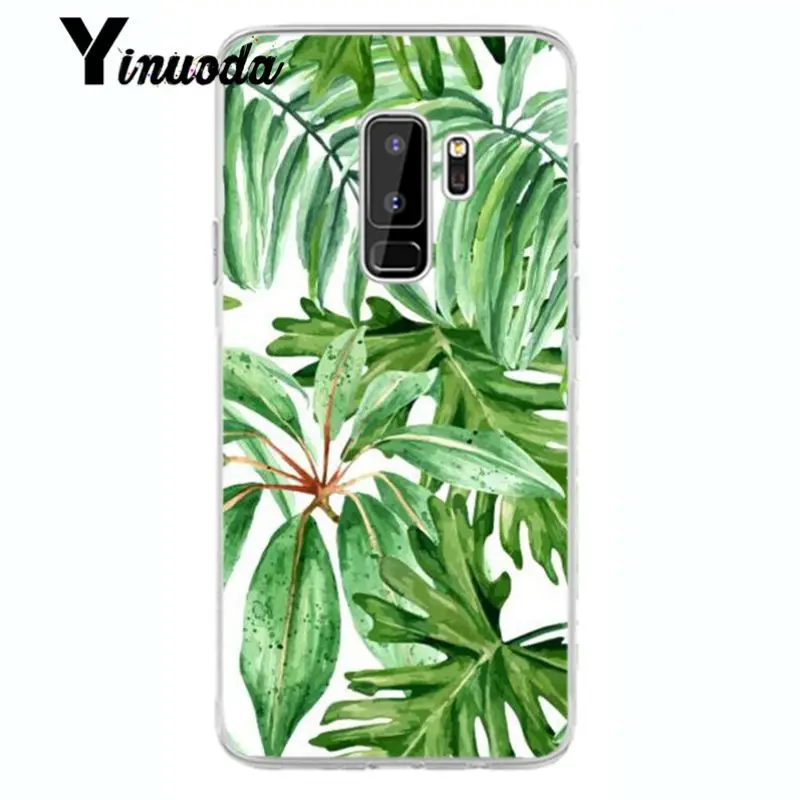 Flower Cherry Tree Candy Colors Leaves 