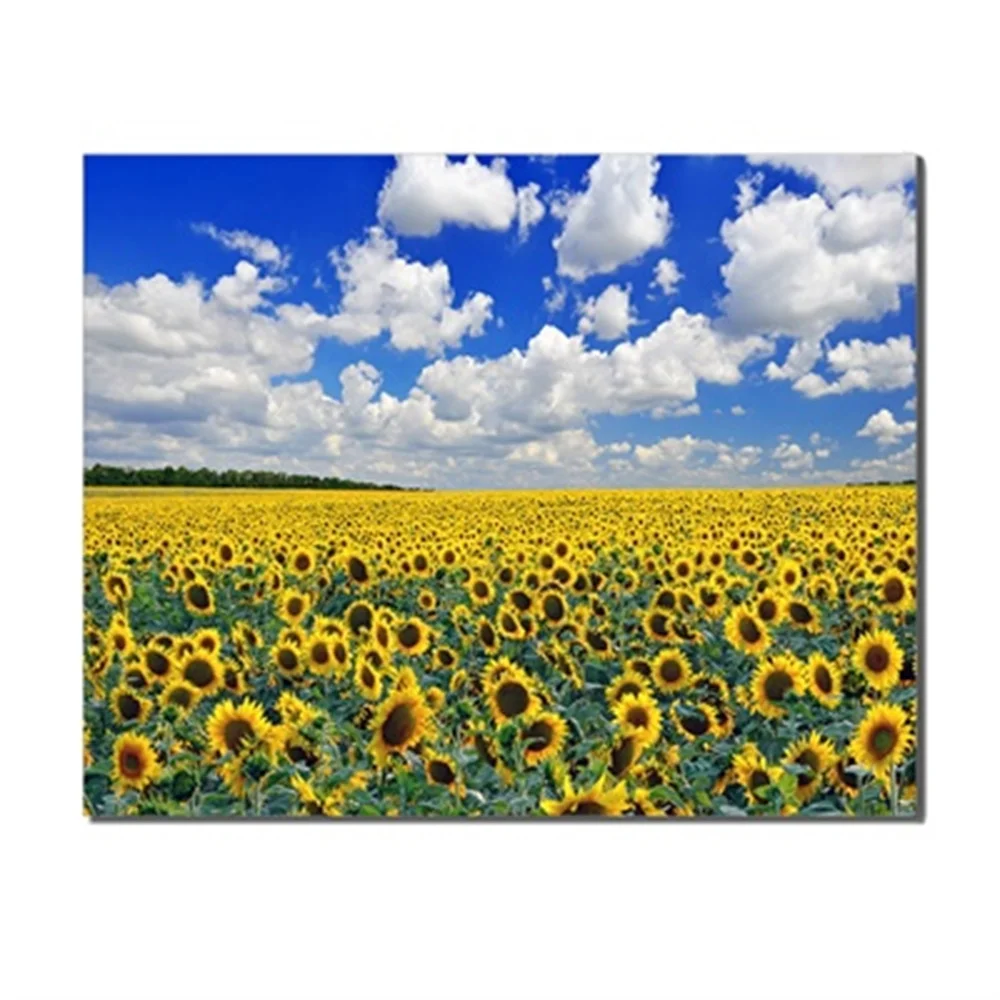 

Modern Oil Painting Spring Blooming Sunflowers Sunshine Blue Sky Canvas Wall Artwork For Home Living Room Decoration No Frame