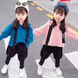 Детский весенний комплект одежды с капюшоном для маленьких девочек, хлопковый свитер, штаны, костюм для отдыха, спортивный костюм для