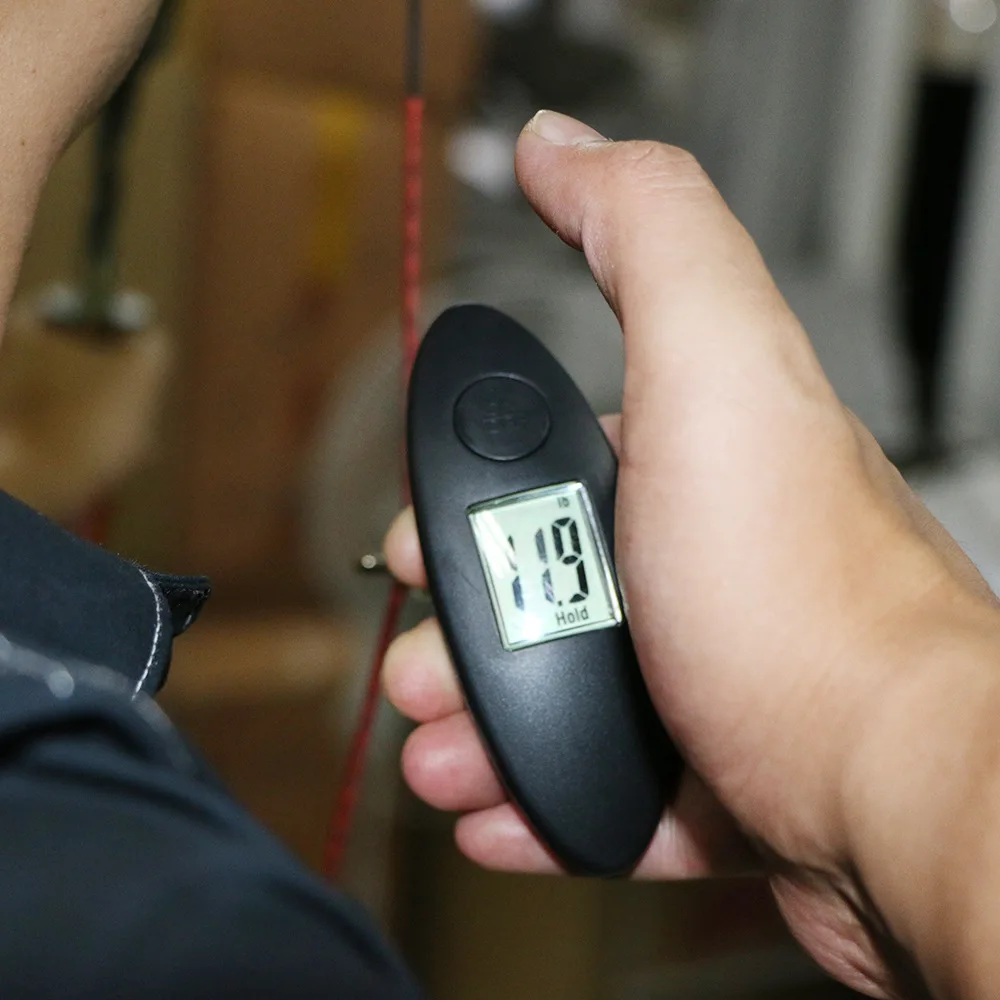 5278998616_1381352307