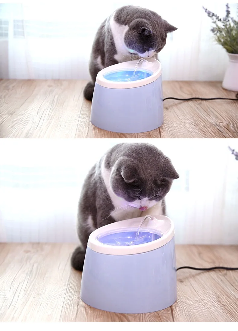 pet fountain 9738 (6)
