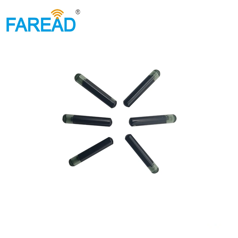Car Key Digital ID Identifier Transponder Rfid Micro Chips Bioglass