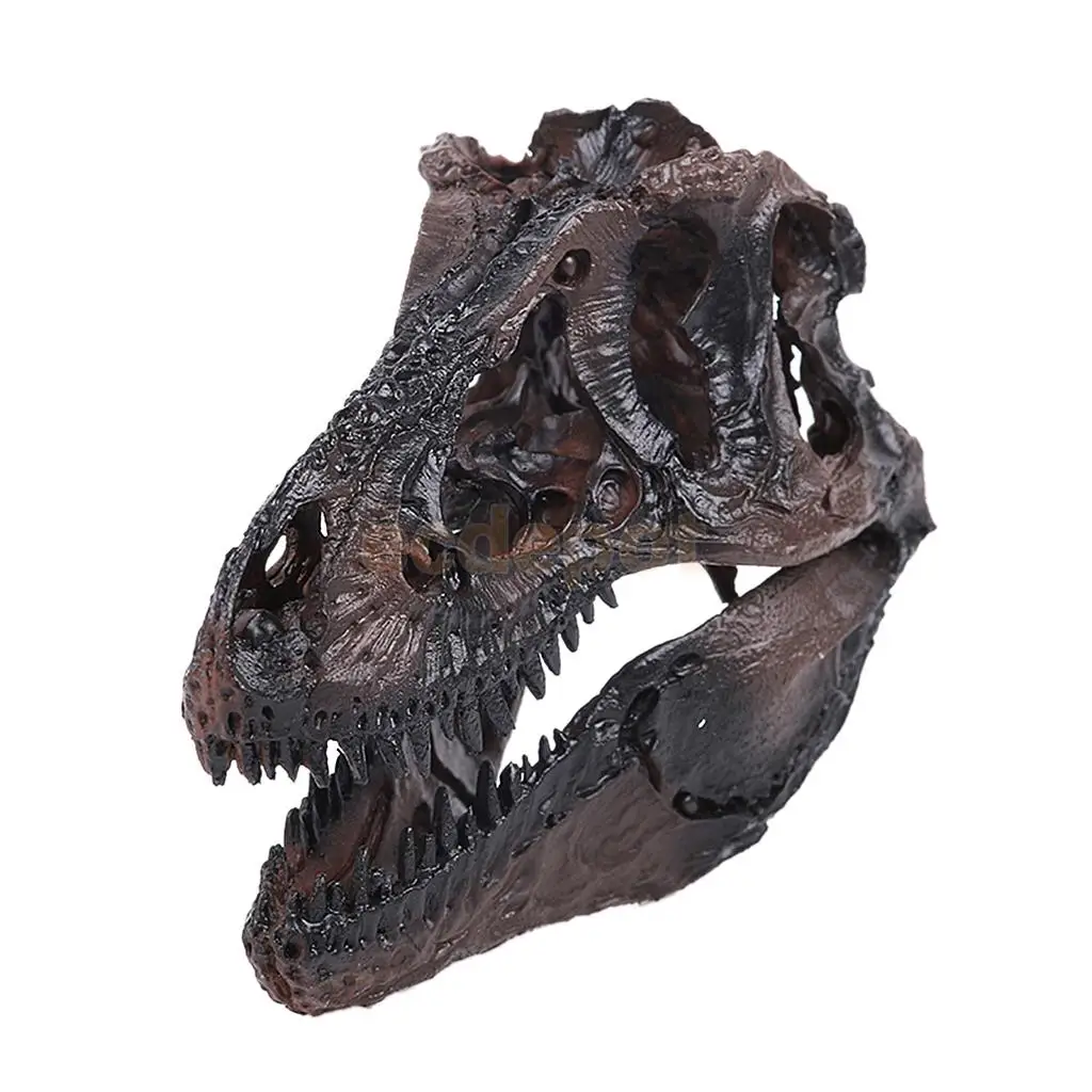 1/10 масштаб реалистичные динозавры тираннозавр смолы окаменелый череп модель коллекционные вещи