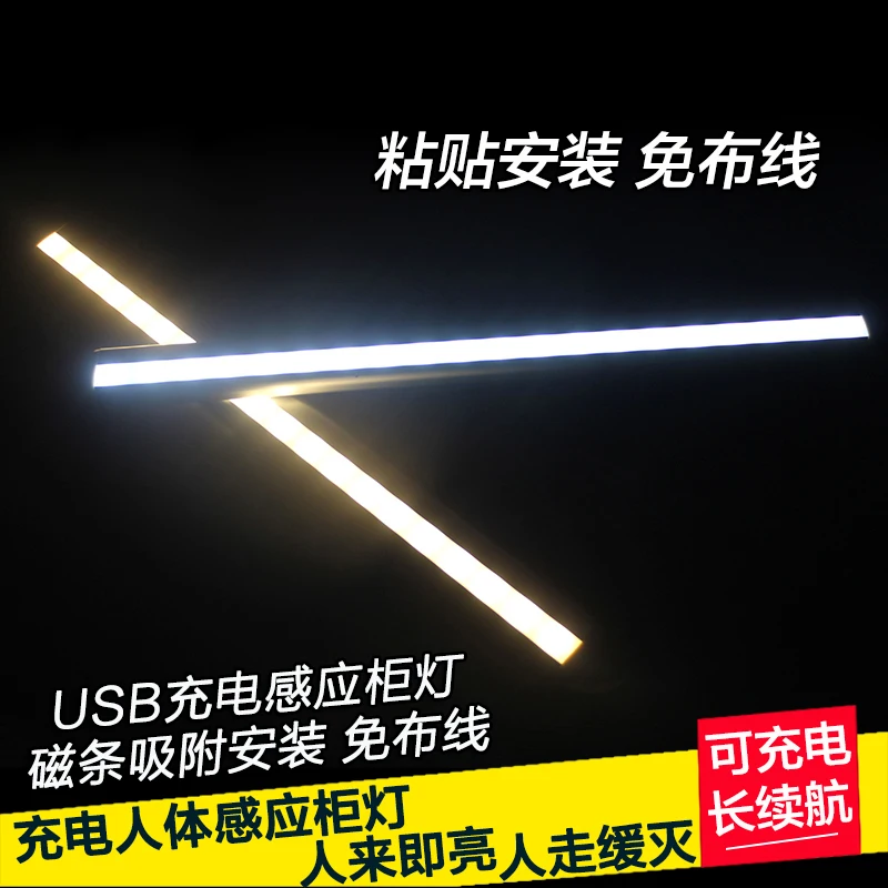 

cabinets LED induction lamp relating to the human body induction small night lamp corridor porch corridor a night light