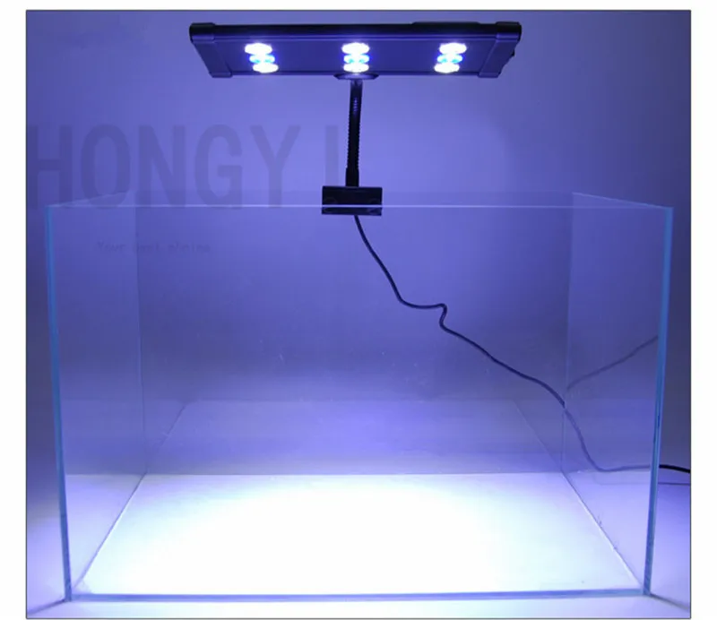 LED7