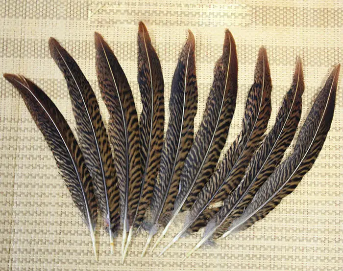 Free shipping 100pcs 15 20cm natural real golden pheasant tail plumage