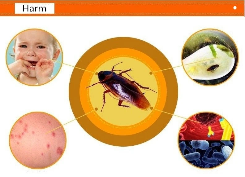 50 шт/сильнодействующий эффективный приманка для уничтожения тараканов лекарств инсектицид убийца тараканов борьба с вредителями идея для
