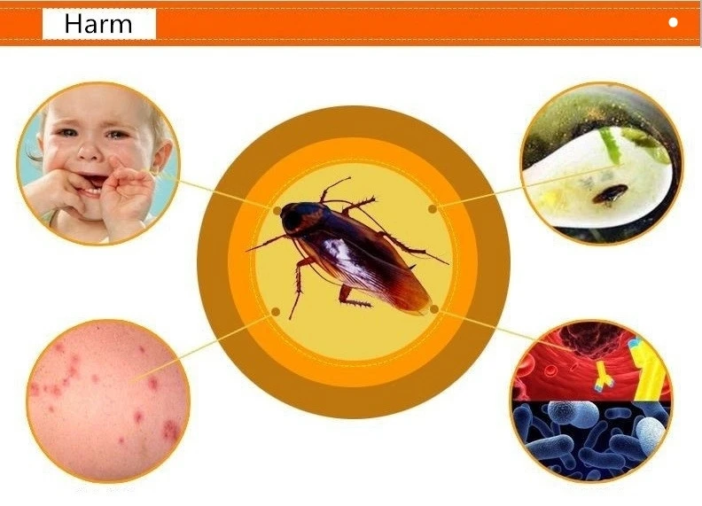 50 шт/сильнодействующий эффективный приманка для уничтожения тараканов лекарств инсектицид убийца тараканов борьба с вредителями идея для кухни ресторана