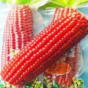 Free Shipping Green Food Rare Vegetable Seeds Red Sweet Corn 30 Pcs Red Corn Seed Seed Necklace Seeds For Jewelry Makingseed Tray Aliexpress Free Shipping Green Food Rare Vegetable Seeds Red Sweet Corn 30 Pcs Red Corn Seed Seed Necklace Seeds For Jewelry Makingseed Tray Aliexpress