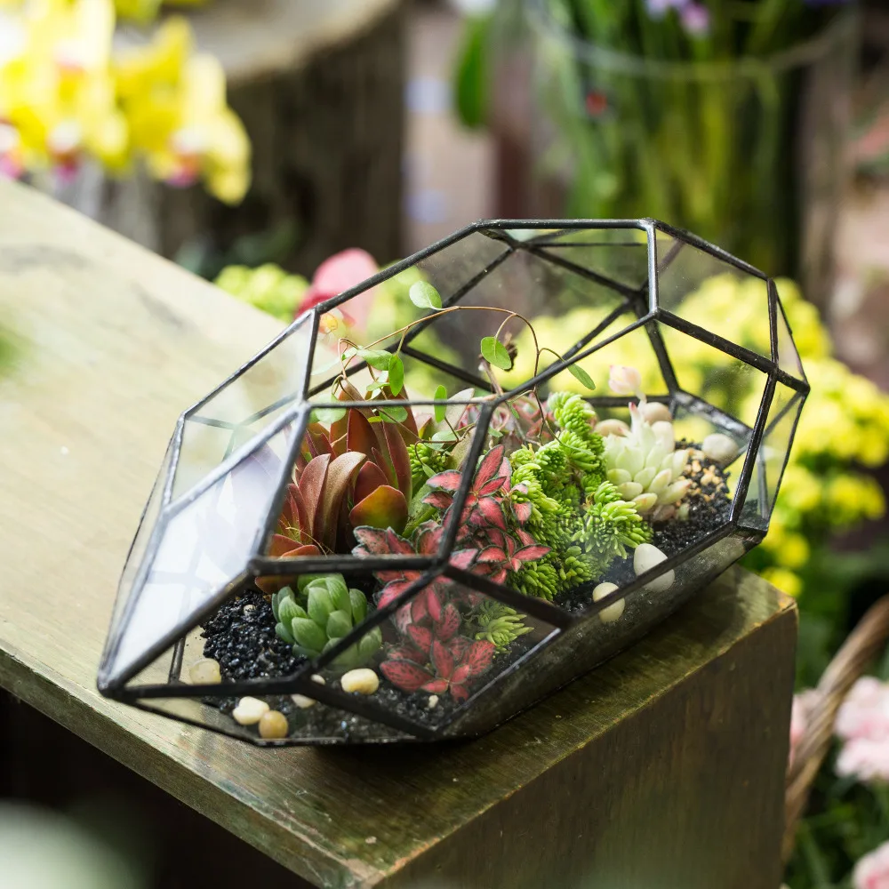 Compare Prices On Large Plant Terrarium- Online Shopping/Buy Low Modern Large Irregular Polyhedral Geometric Glass Terrarium Lantern Succulent Air Plant Holder Facete Flowerpot 11 inches - Compare Prices On Large Plant Terrarium- Online Shopping/Buy Low