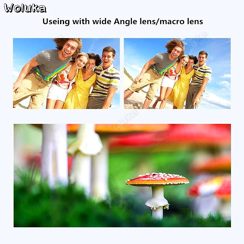 36020190215104725138